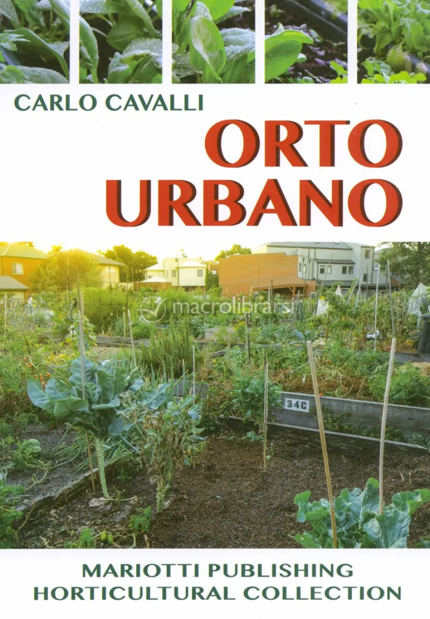 Orto Urbano