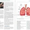 Osteopatia Viscerale: Sistema Pneumofonatorio e Cardiovascolare