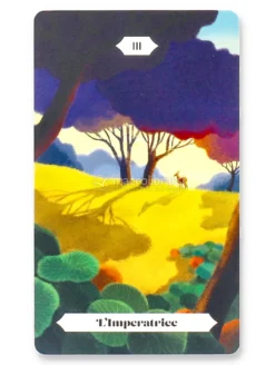 Paesaggi dell'Anima - Tarocchi