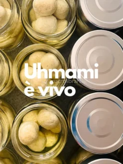 Palline al Rosmarino e Zenzero UHMAMI