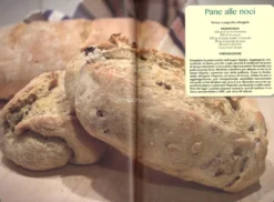 Pane