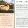 Pane Buono