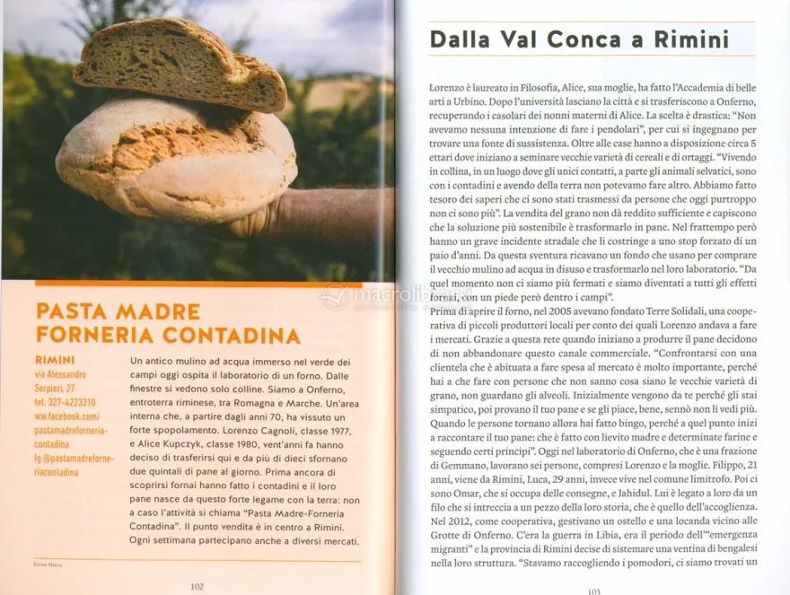 Pane Buono