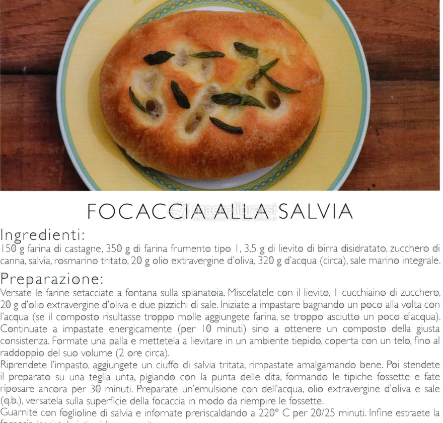 Pane, Focacce, Pizze...