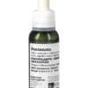 Pantenolo
