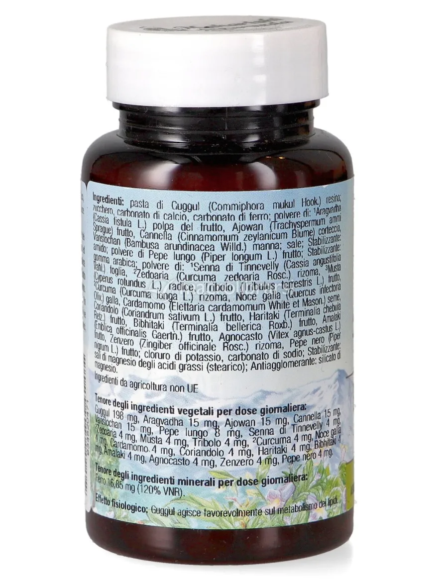 Pelvimap