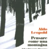 Pensare come una Montagna