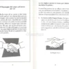 Perchè gli Ingegneri si Siedono come Scimpanzè e le Prof Parlano con le Ginocchia?