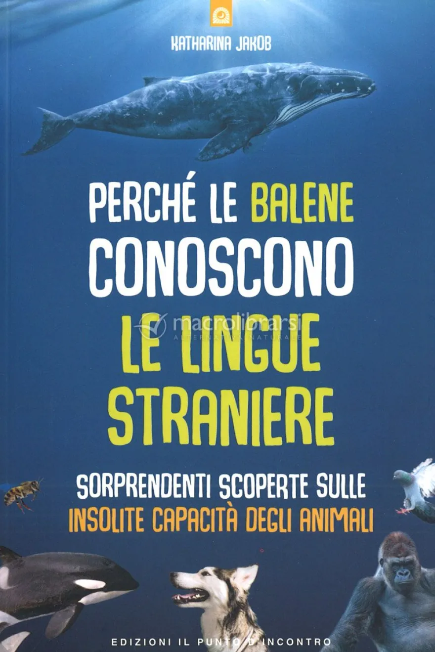 Perchè le Balene conoscono le Lingue Straniere