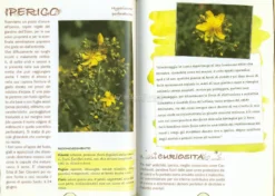 Petali e Rugiada - 1° Petalo le Piante per la Cosmesi