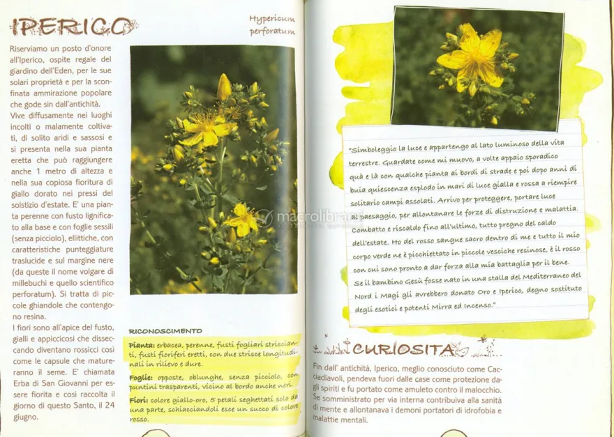 Petali e Rugiada - 1° Petalo le Piante per la Cosmesi