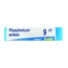 Phosphoricum Acidum 9CH Globuli Monodose Boiron