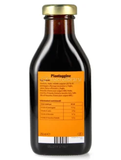 Piantaggine