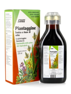 Piantaggine