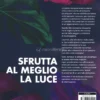 Piante che Crescono al Buio