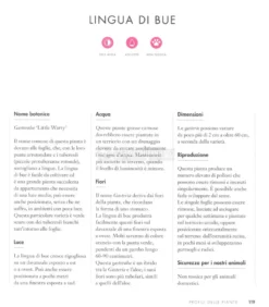 Piante che Crescono al Buio