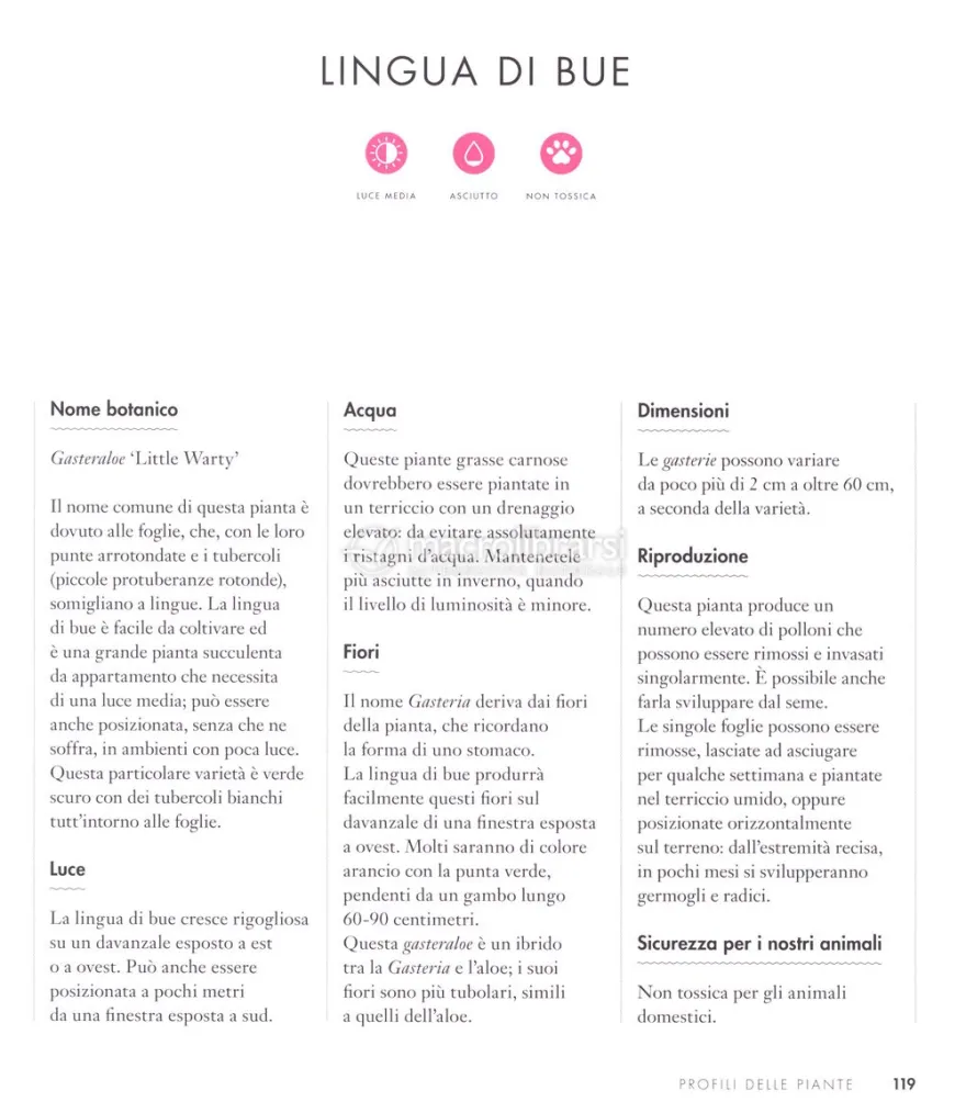Piante che Crescono al Buio