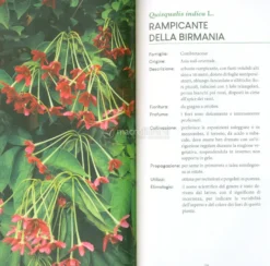 Piante e Fiori Profumati