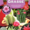 Piante Grasse