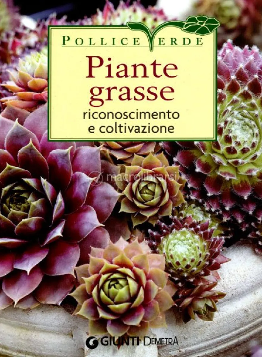 Piante Grasse