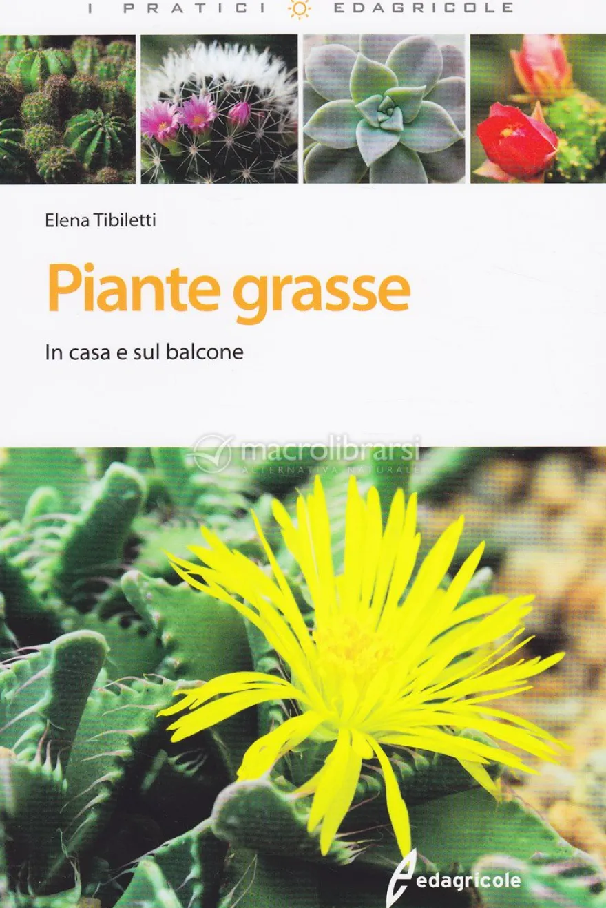 Piante Grasse - In casa e sul Balcone