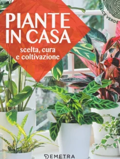 Piante in Casa