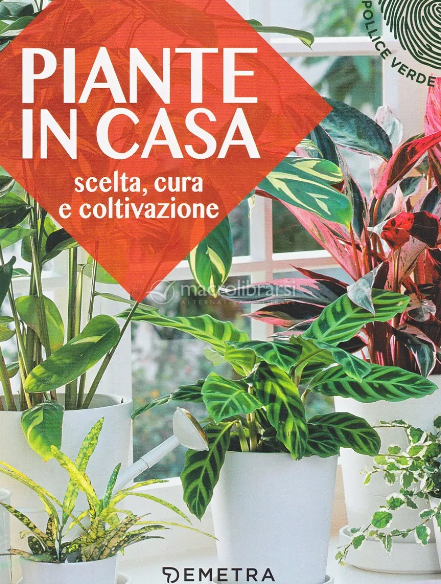 Piante in Casa