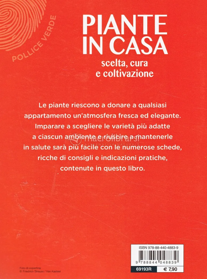 Piante in Casa