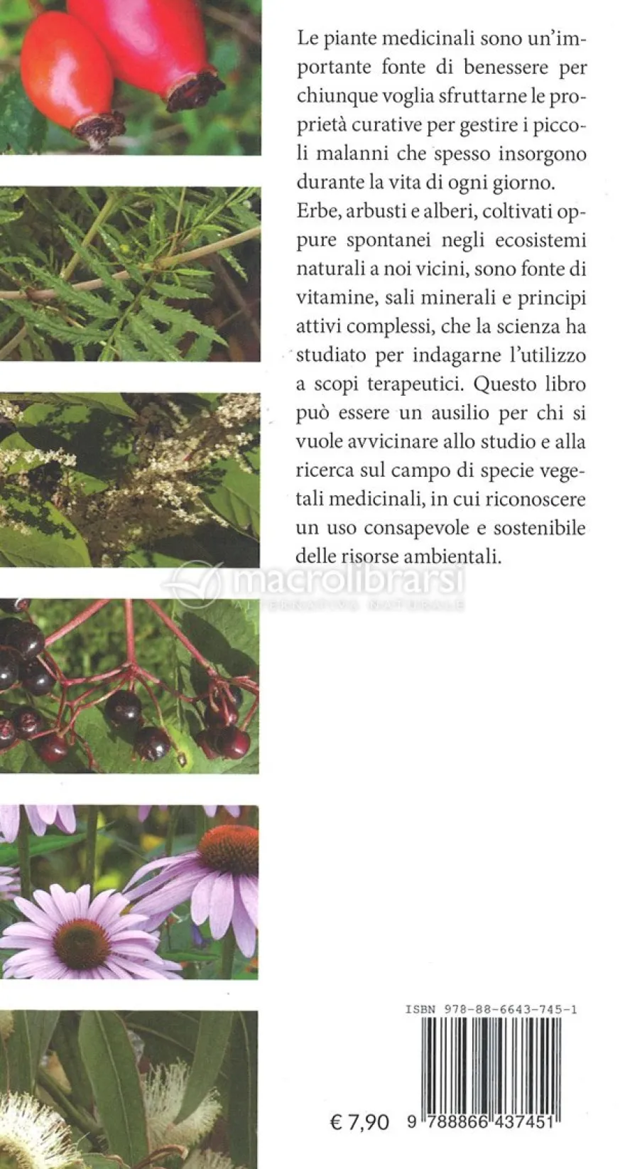 Piante Medicinali
