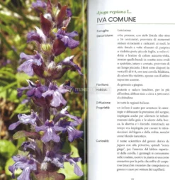 Piante Medicinali