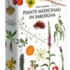 Piante Medicinali in Sardegna