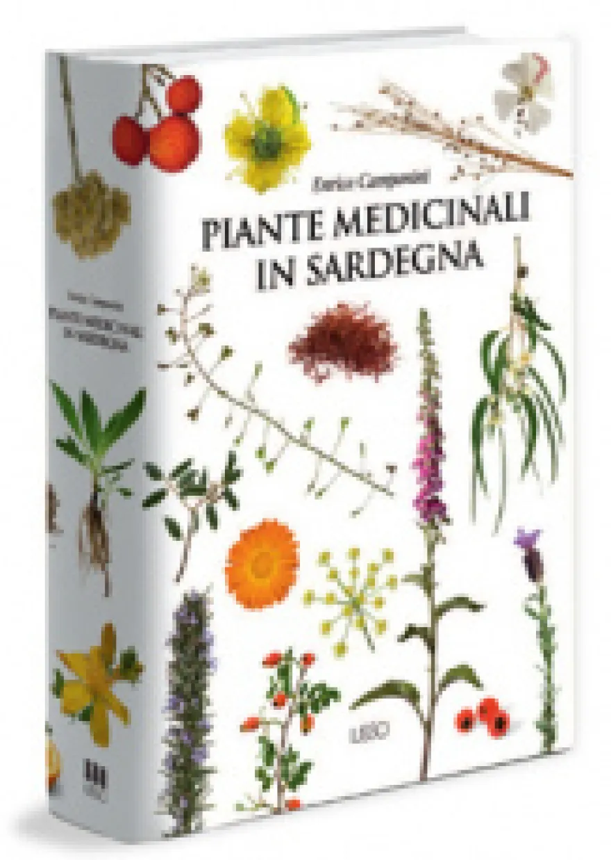 Piante Medicinali in Sardegna