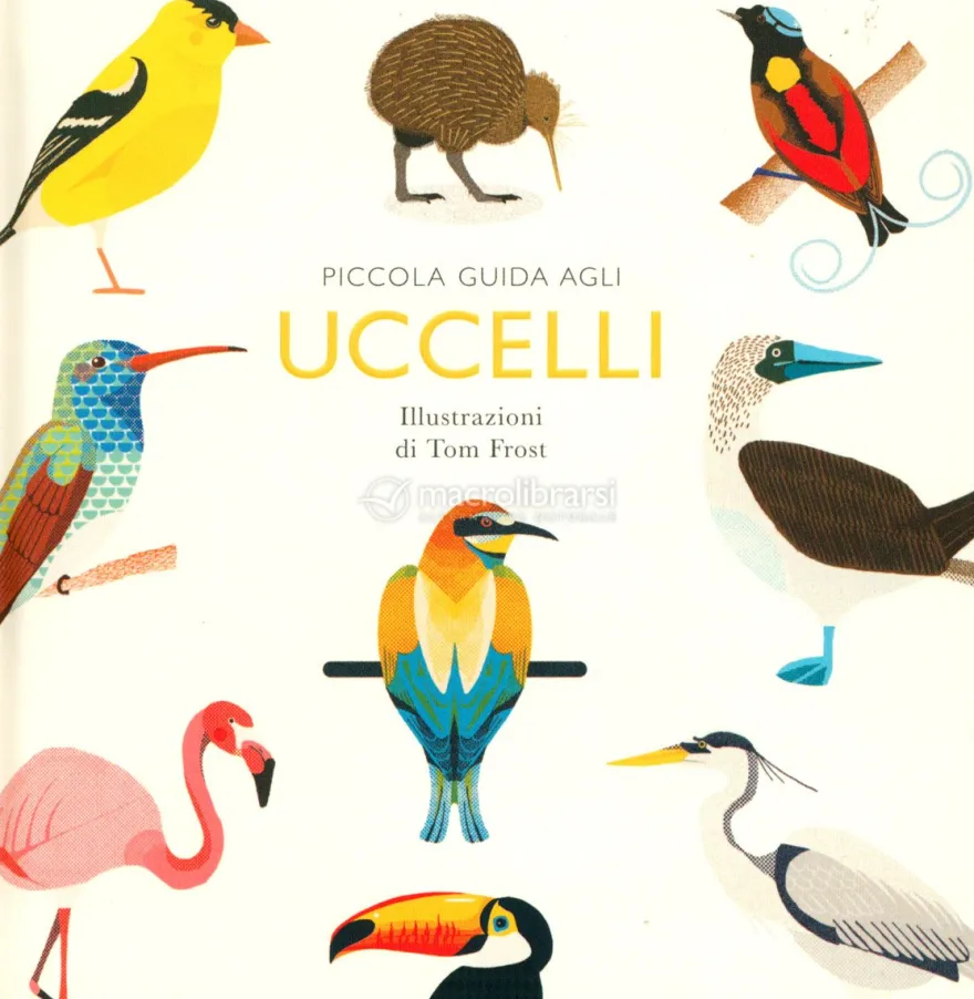 Piccola Guida agli Uccelli