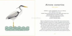 Piccola Guida agli Uccelli