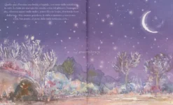 Piccola Volpe e le Stelle d'Inverno