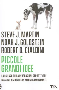 Piccole Grandi Idee
