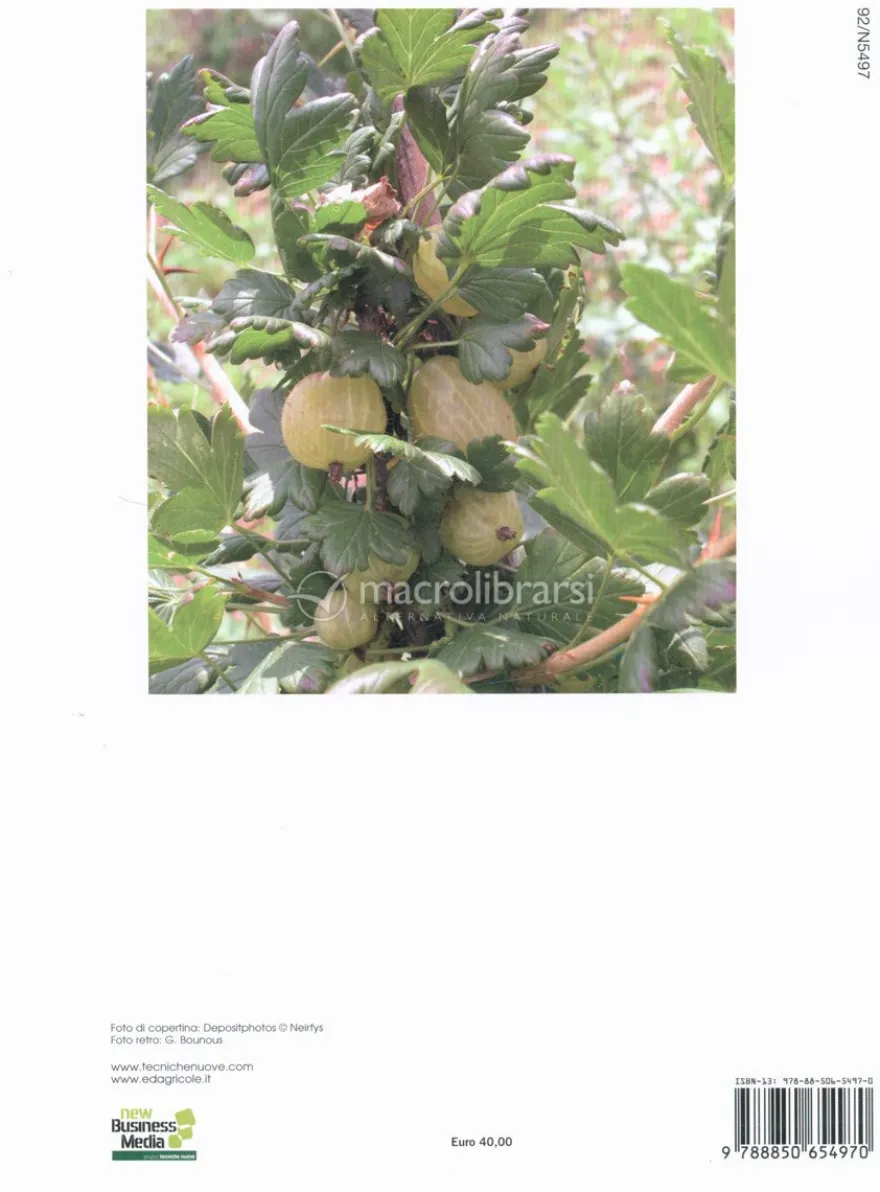 Piccoli Frutti e Altri Superfrutti