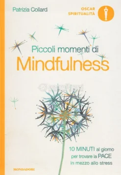 Piccoli Momenti di Mindfulness