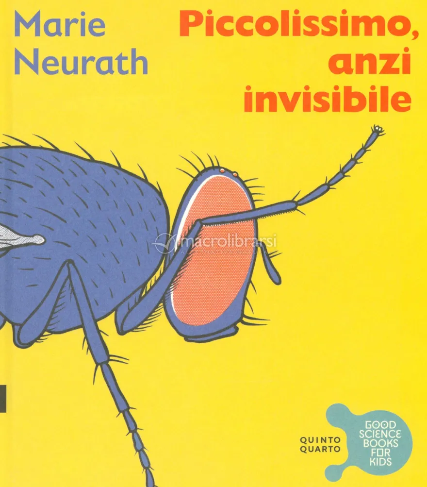 Piccolissimo, Anzi Invisibile