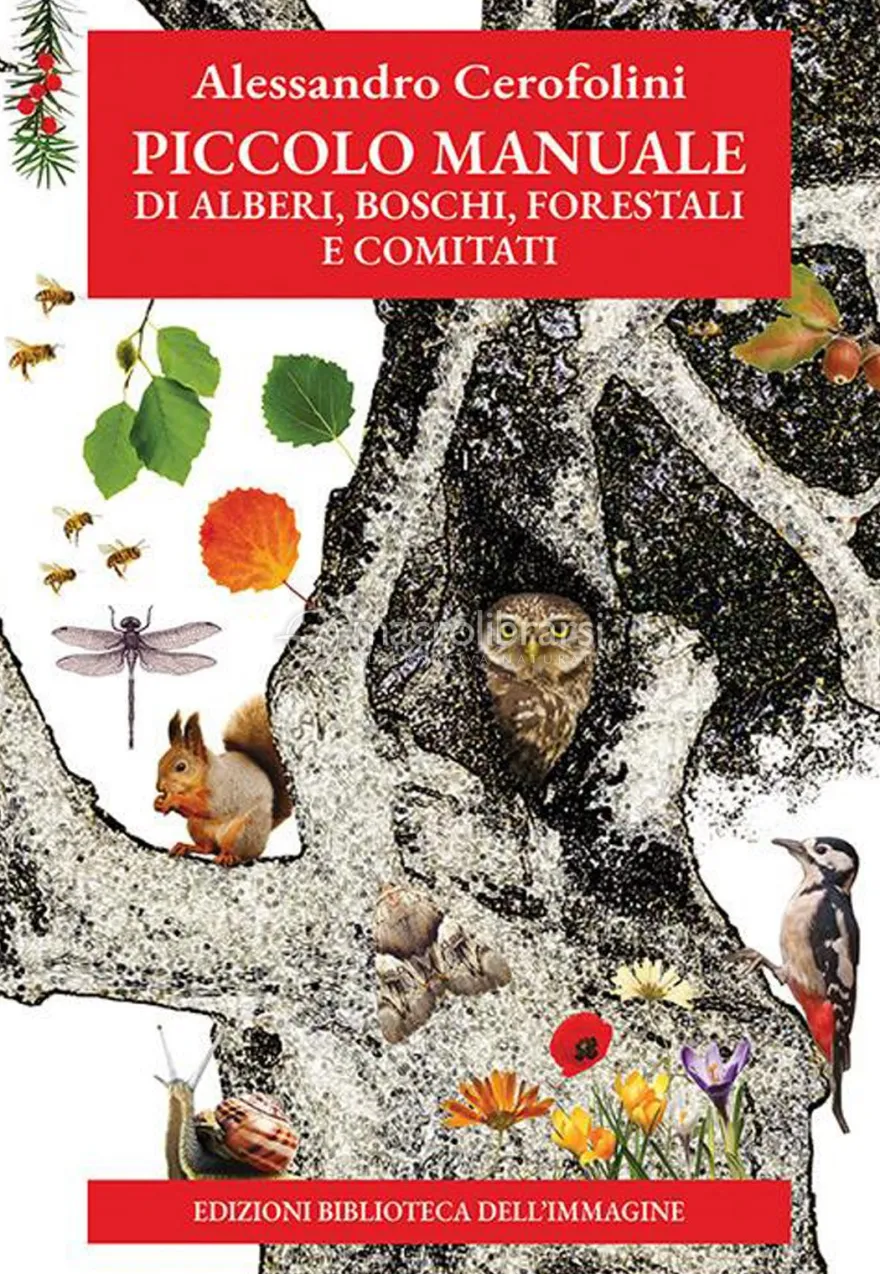 Piccolo Manuale di Alberi, Boschi, Forestali e Comitati
