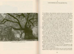 Piccolo Manuale di Alberi, Boschi, Forestali e Comitati