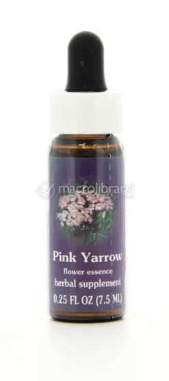 Pink Yarrow - Fiori californiani