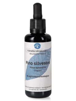 Pino Silvestre - Estratto Idroalcolico