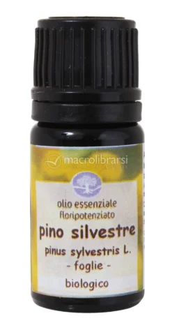 Pino Silvestre - Olio Essenziale Floripotenziato