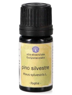 Pino Silvestre - Olio Essenziale Floripotenziato