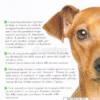 Pinscher - Vita in Casa, Educazione, Cure