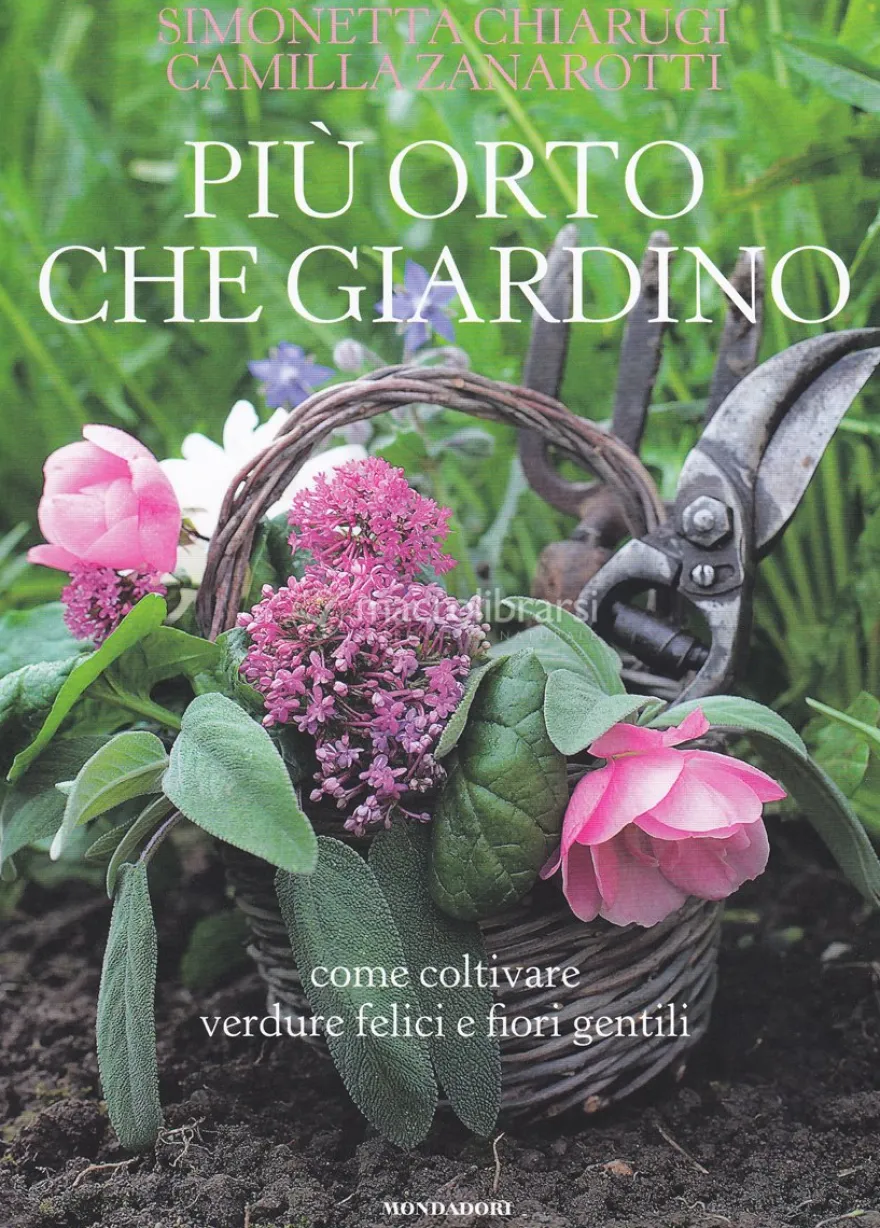 Più Orto che Giardino