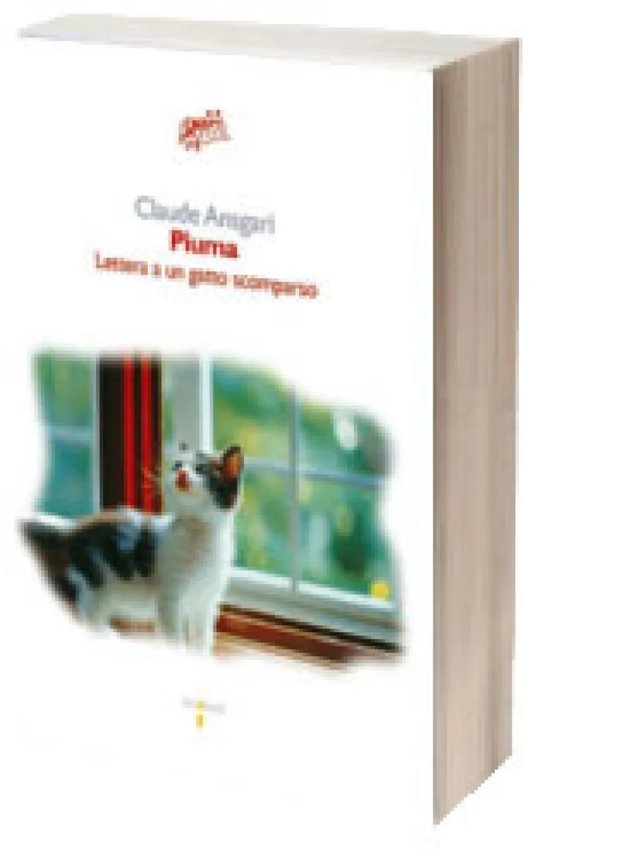 Piuma - Lettera a un Gatto Scomparso