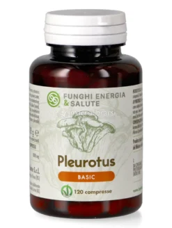 Pleurotus Basic