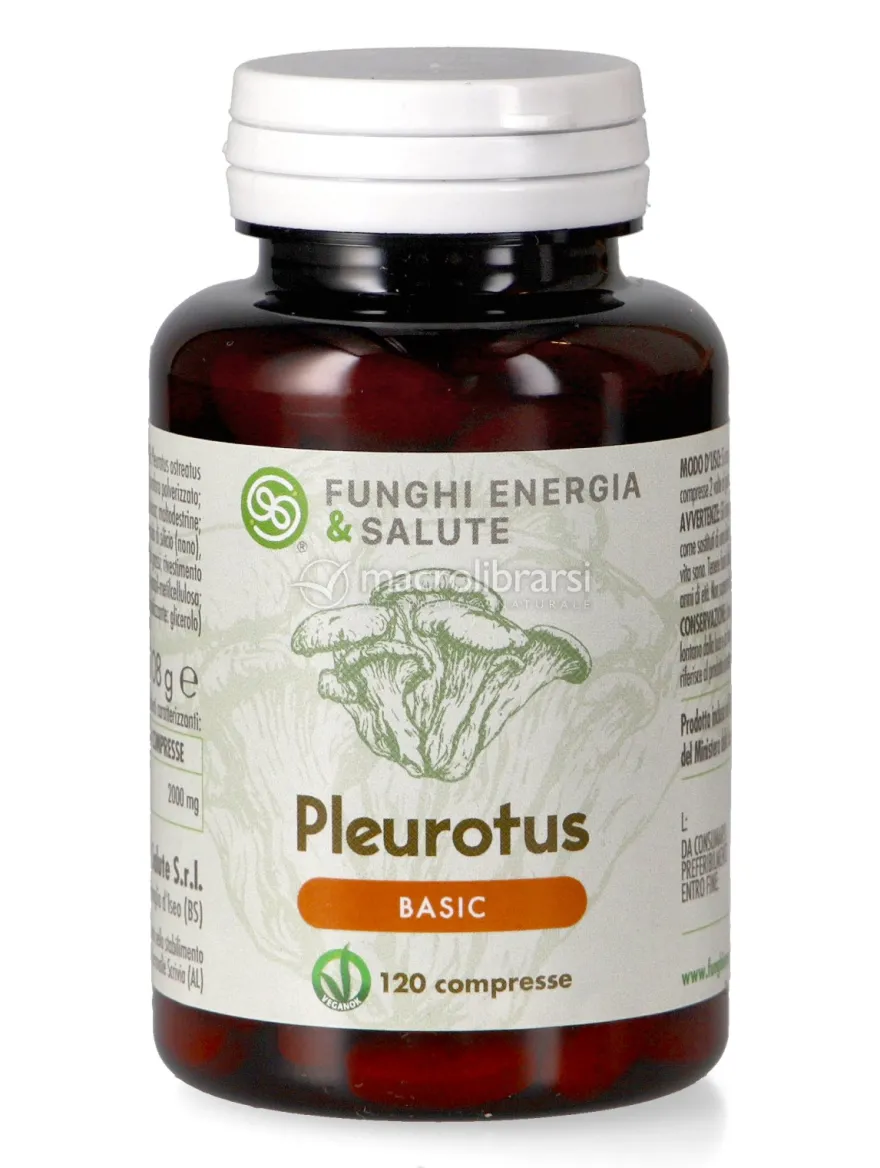 Pleurotus Basic